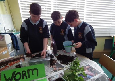 Making a wormery